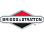 Briggs & Stratton